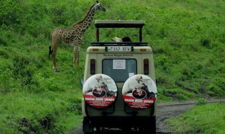 L'éco-tourisme en Afrique