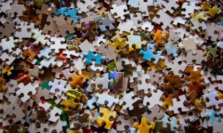 Choisir le Puzzle Idéal