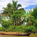 Qu’est-ce qui fait toute la fascination du Canal des Pangalanes à Madagascar