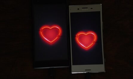 Qu'est-ce qui pousse à l'amour virtuel