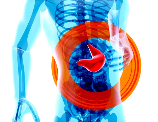 Santé digestive : astuces pour réduire les ballonnements