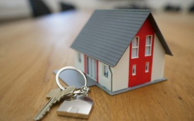 assurance habitation Montauban